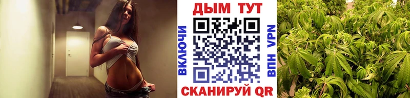 МАРИХУАНА сатива Барабинск